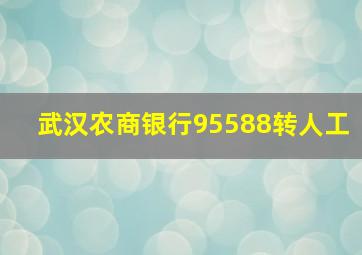 武汉农商银行95588转人工