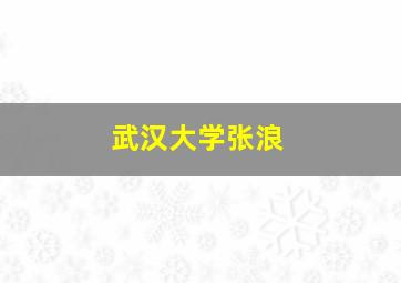 武汉大学张浪