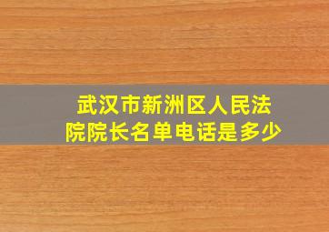 武汉市新洲区人民法院院长名单电话是多少