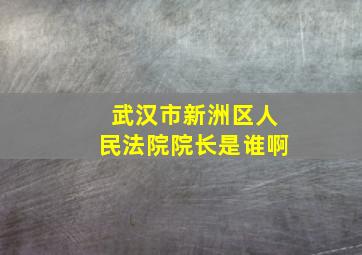 武汉市新洲区人民法院院长是谁啊