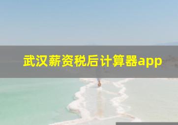 武汉薪资税后计算器app