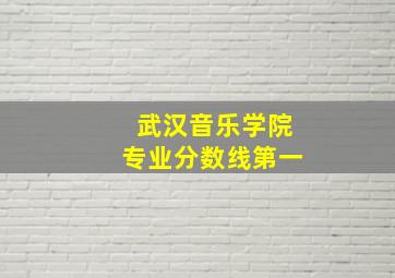 武汉音乐学院专业分数线第一