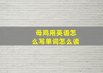 母鸡用英语怎么写单词怎么读