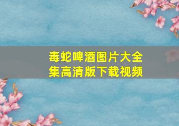 毒蛇啤酒图片大全集高清版下载视频