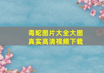 毒蛇图片大全大图真实高清视频下载