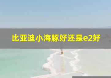 比亚迪小海豚好还是e2好