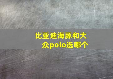 比亚迪海豚和大众polo选哪个