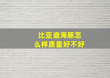 比亚迪海豚怎么样质量好不好