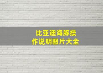 比亚迪海豚操作说明图片大全