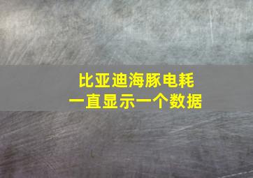 比亚迪海豚电耗一直显示一个数据