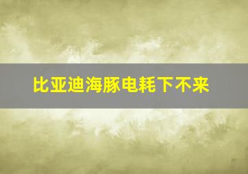 比亚迪海豚电耗下不来