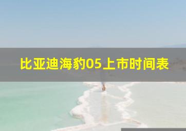 比亚迪海豹05上市时间表