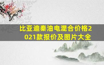 比亚迪秦油电混合价格2021款报价及图片大全