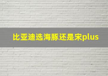 比亚迪选海豚还是宋plus