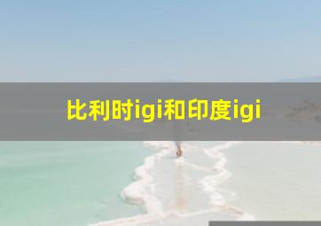 比利时igi和印度igi