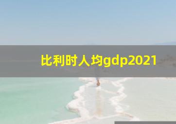 比利时人均gdp2021