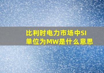 比利时电力市场中SI单位为MW是什么意思