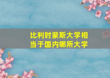 比利时蒙斯大学相当于国内哪所大学