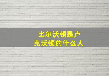 比尔沃顿是卢克沃顿的什么人