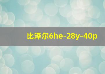 比泽尔6he-28y-40p