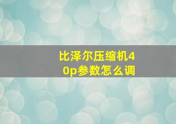 比泽尔压缩机40p参数怎么调