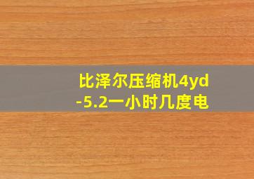 比泽尔压缩机4yd-5.2一小时几度电