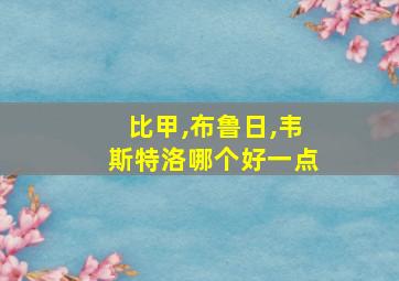 比甲,布鲁日,韦斯特洛哪个好一点