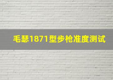 毛瑟1871型步枪准度测试