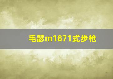 毛瑟m1871式步枪