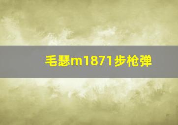 毛瑟m1871步枪弹