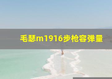 毛瑟m1916步枪容弹量