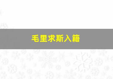 毛里求斯入籍