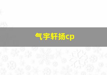 气宇轩扬cp