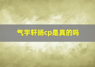 气宇轩扬cp是真的吗