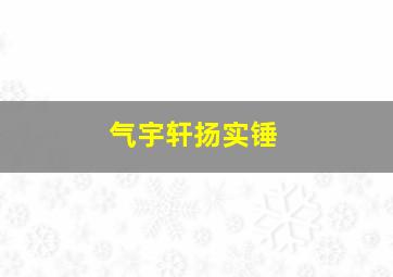 气宇轩扬实锤