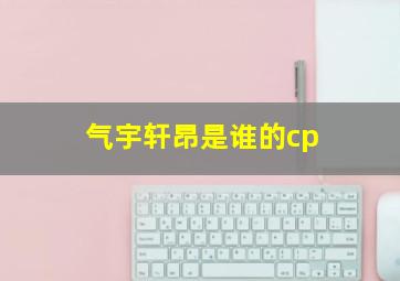 气宇轩昂是谁的cp