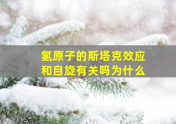 氢原子的斯塔克效应和自旋有关吗为什么