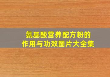 氨基酸营养配方粉的作用与功效图片大全集