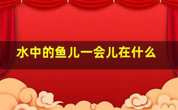 水中的鱼儿一会儿在什么