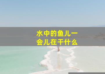 水中的鱼儿一会儿在干什么