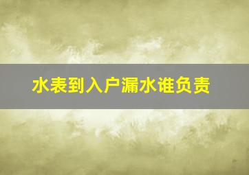 水表到入户漏水谁负责