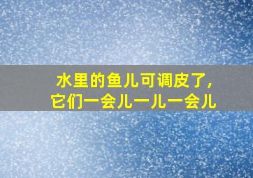 水里的鱼儿可调皮了,它们一会儿一儿一会儿