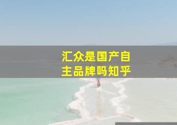 汇众是国产自主品牌吗知乎