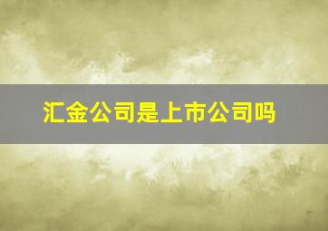 汇金公司是上市公司吗