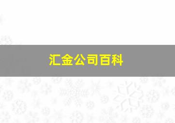 汇金公司百科