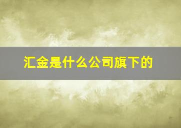 汇金是什么公司旗下的