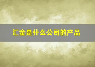 汇金是什么公司的产品