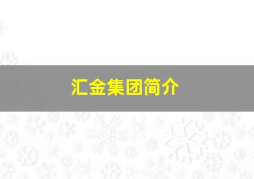 汇金集团简介