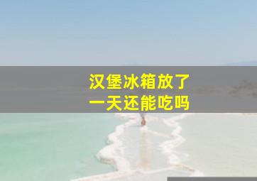 汉堡冰箱放了一天还能吃吗