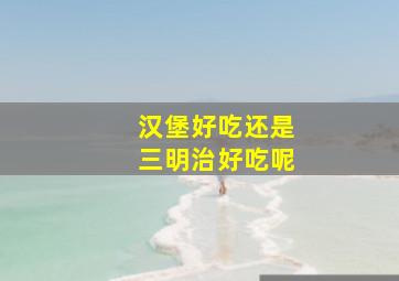 汉堡好吃还是三明治好吃呢